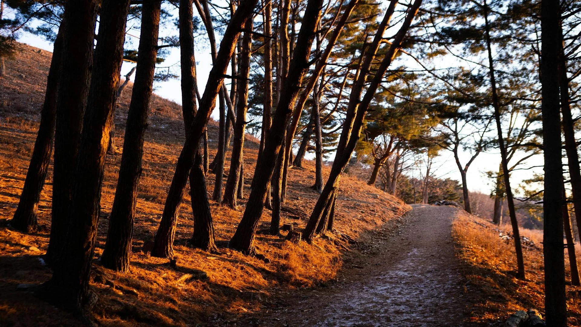 Grounding therapy environment