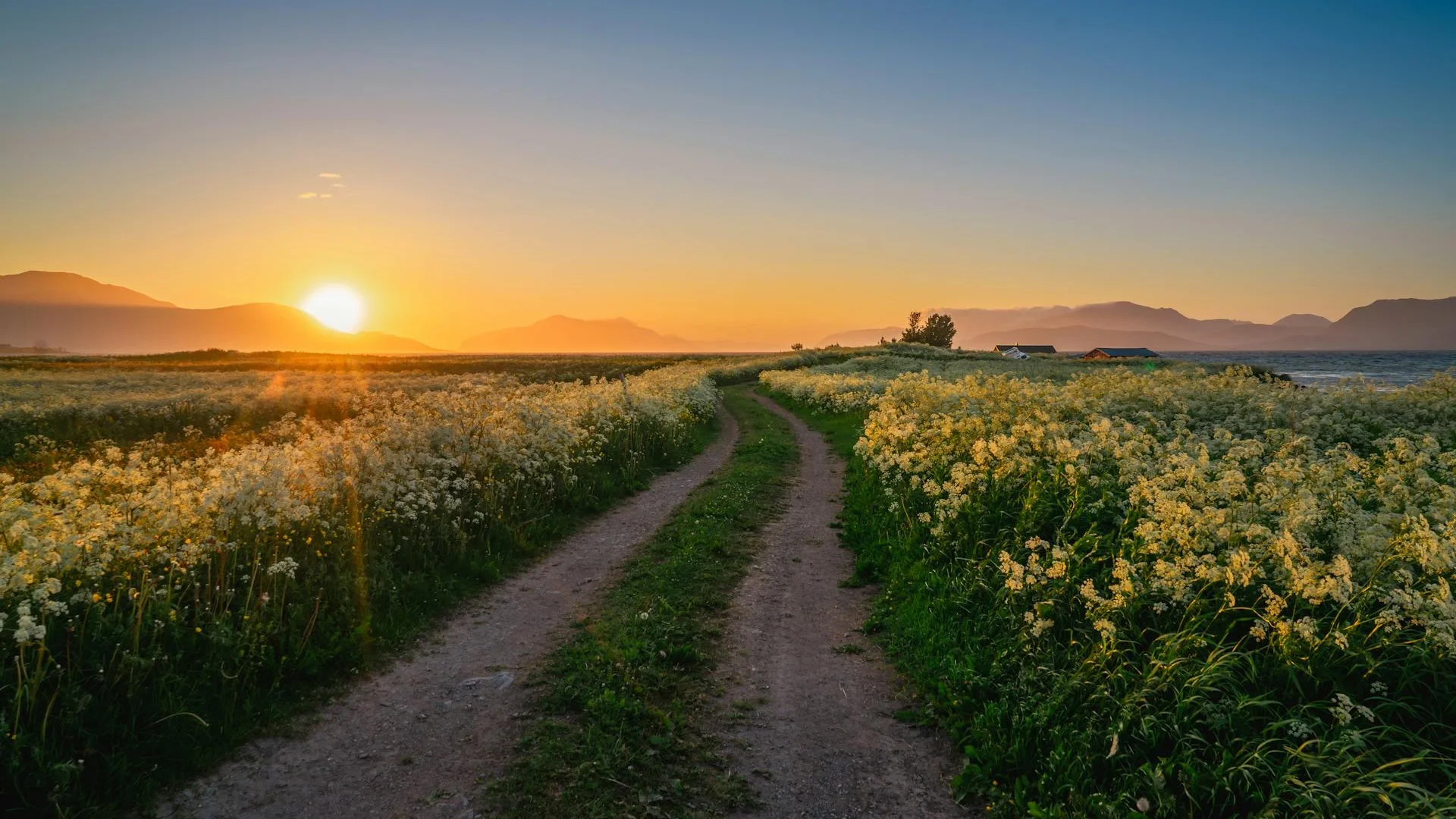 Healing therapy environment