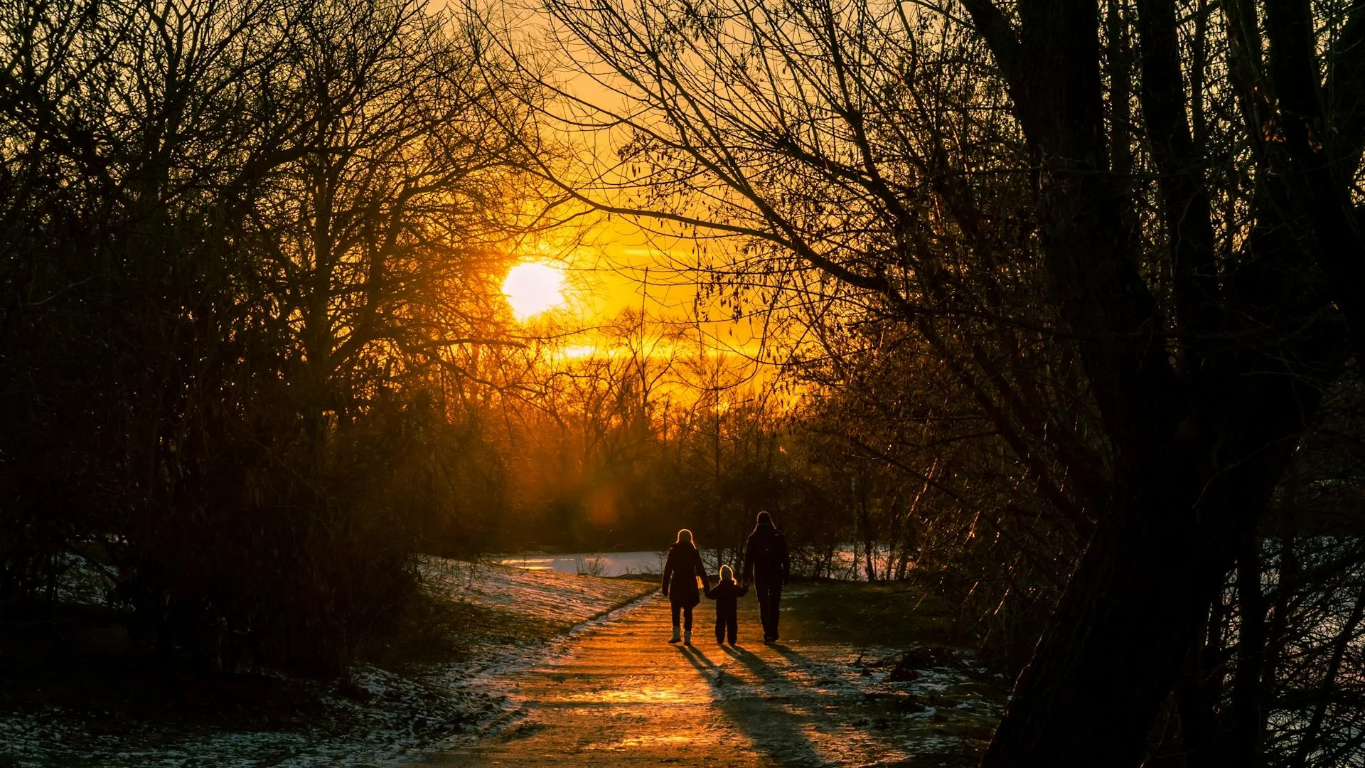 Family silhouettes walking through a winter park during a golden sunset