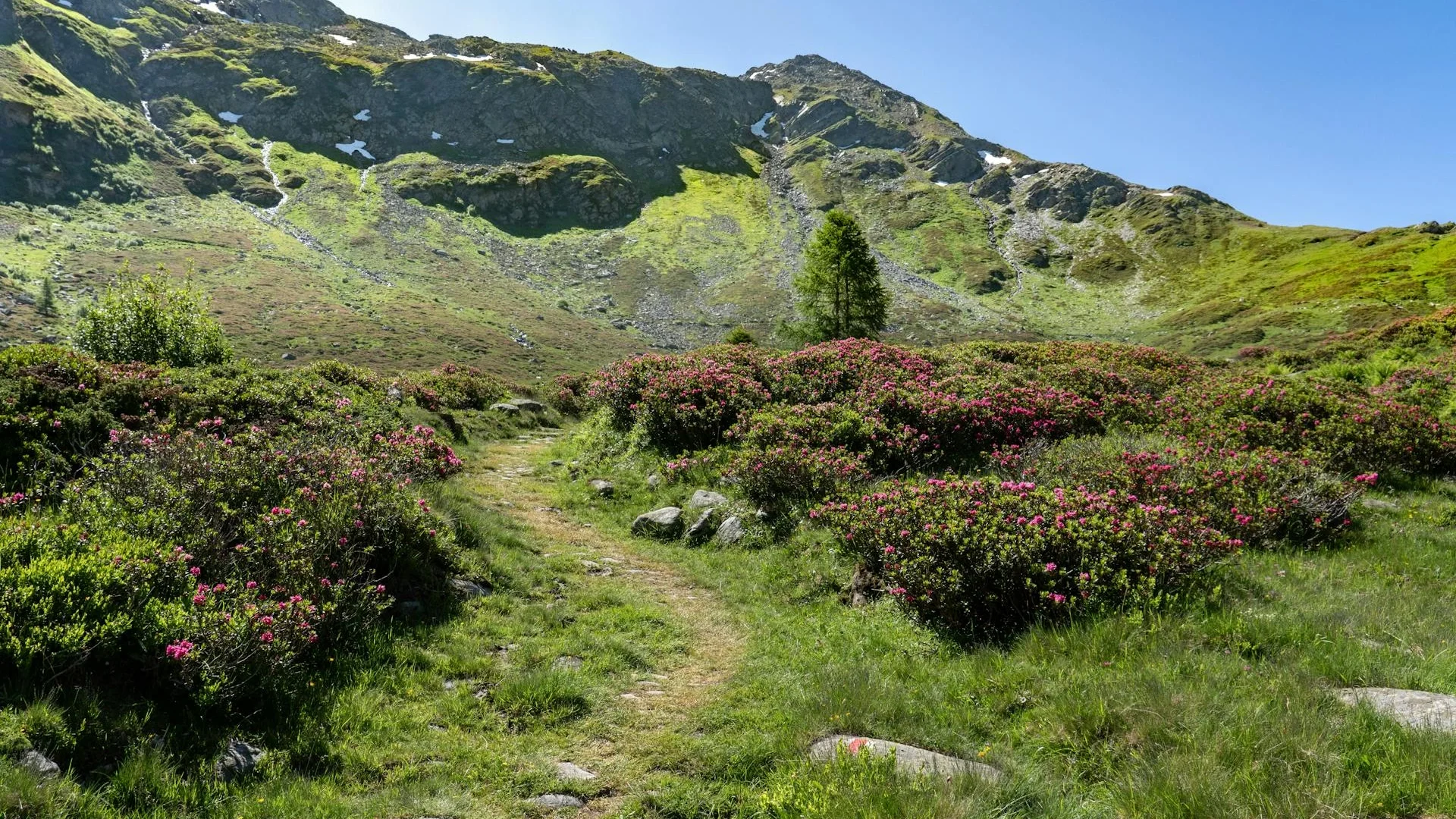 Supportive environment for friendship healing