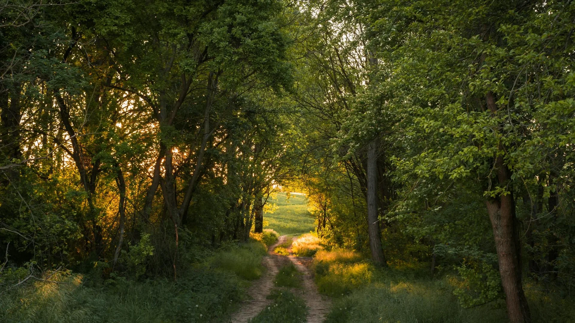 Empowering therapy environment